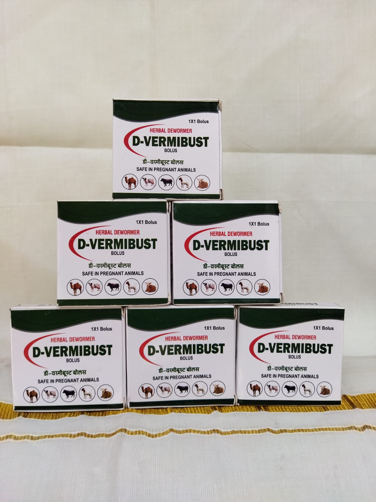 WhatsApp Image 2025-06-30 at 8.07.35 PM.jpeg